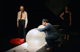 Teatro Rebis – Daniele Laorenza 14