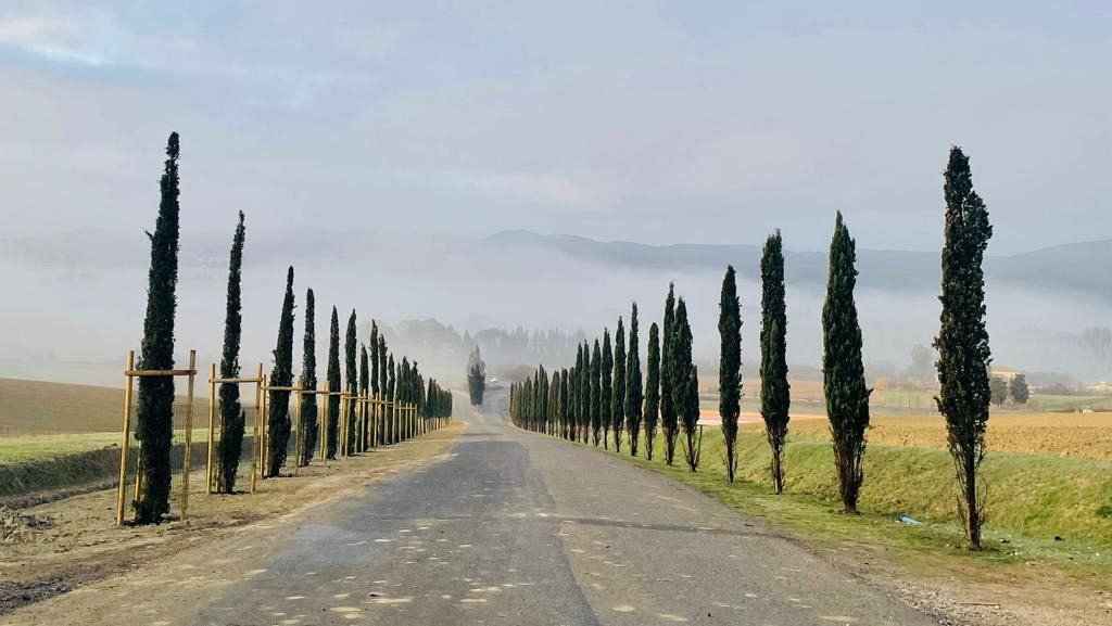 75-strada-di-accesso-con-2-filari-cipressi-scapigliato